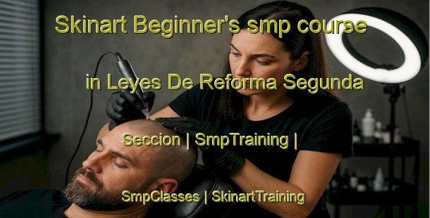 Skinart Beginner's smp course in Leyes De Reforma Segunda Seccion | SmpTraining | SmpClasses | SkinartTraining-Mexico